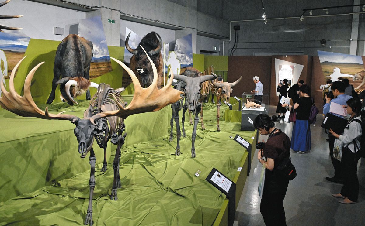 特別展「氷河期展」始まる　過酷な環境、人類が見た4万年前の世界に迫る　国立科学博物館で10月13日まで